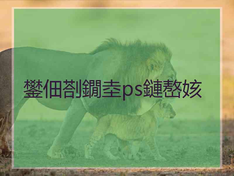 鐢佃剳鐗坴ps鏈嶅姟