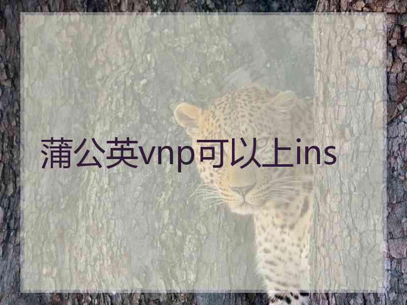 蒲公英vnp可以上ins