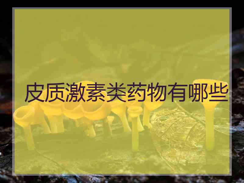 皮质激素类药物有哪些