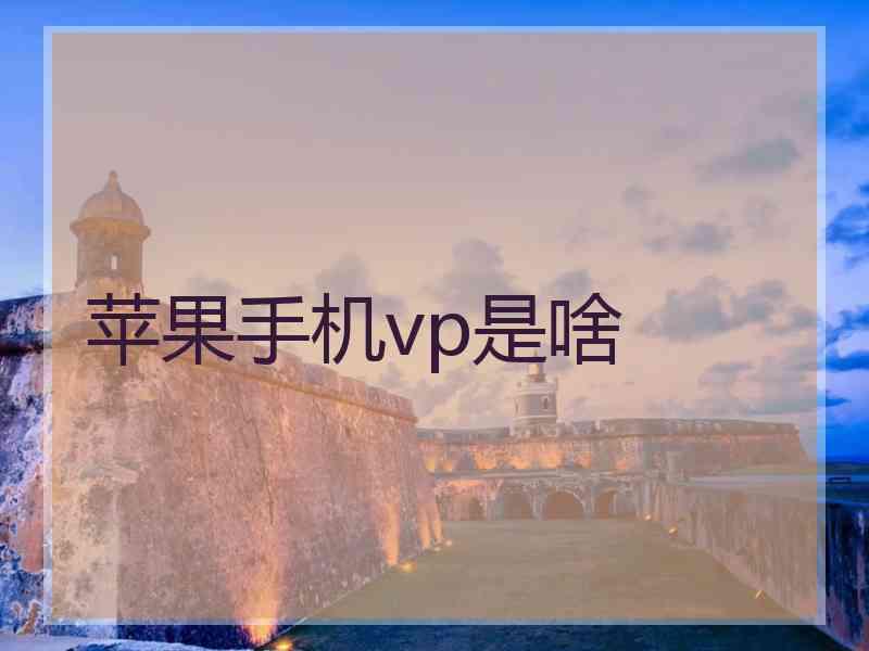 苹果手机vp是啥
