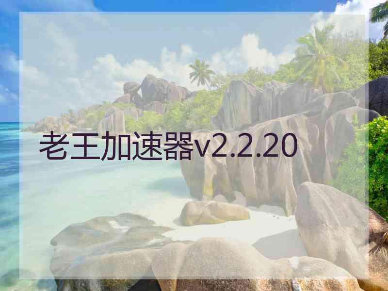 老王加速器v2.2.20