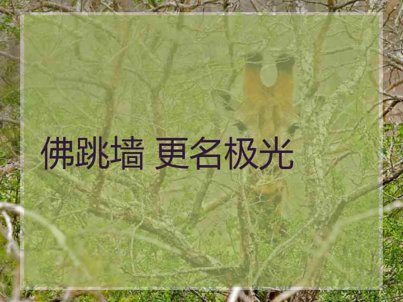 佛跳墙 更名极光