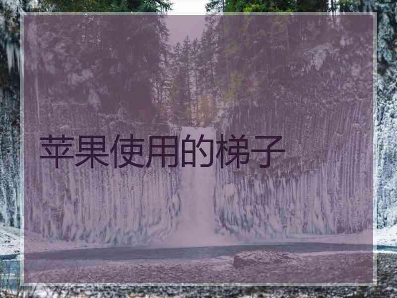 苹果使用的梯子