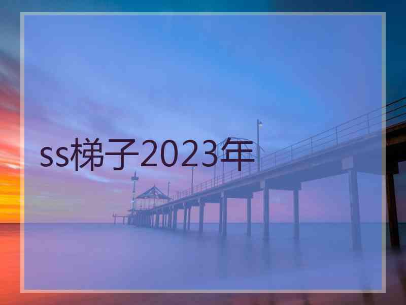 ss梯子2023年