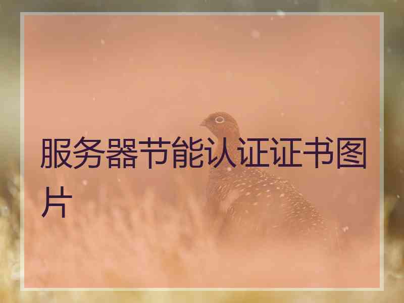服务器节能认证证书图片