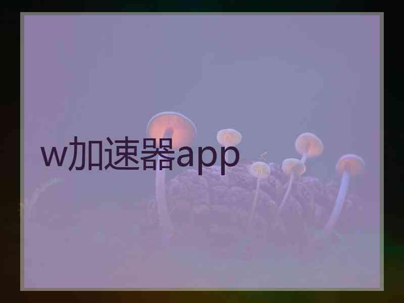 w加速器app
