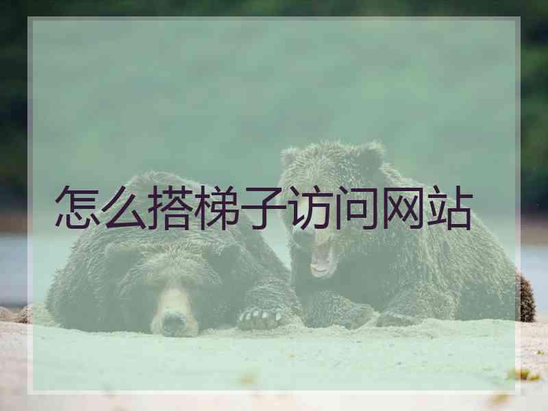 怎么搭梯子访问网站