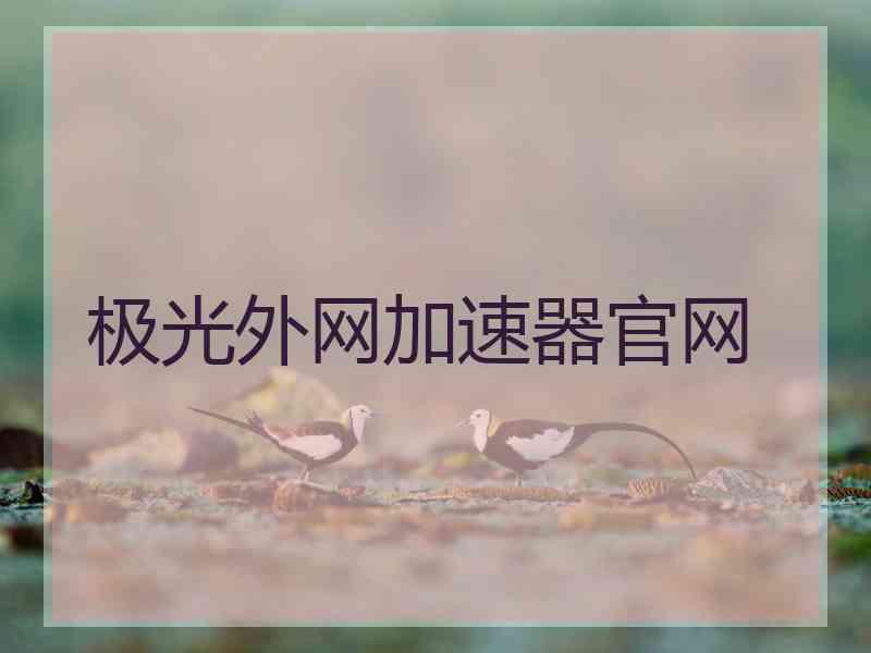 极光外网加速器官网