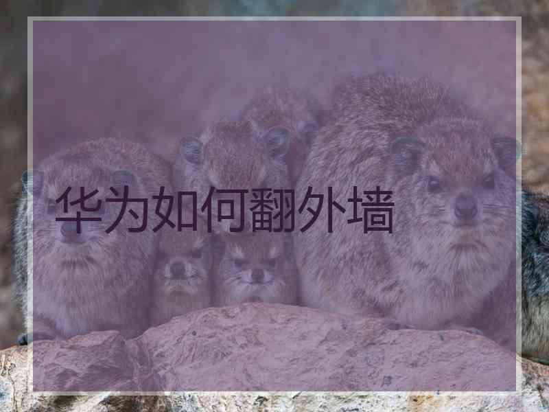 华为如何翻外墙
