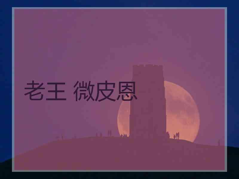 老王 微皮恩