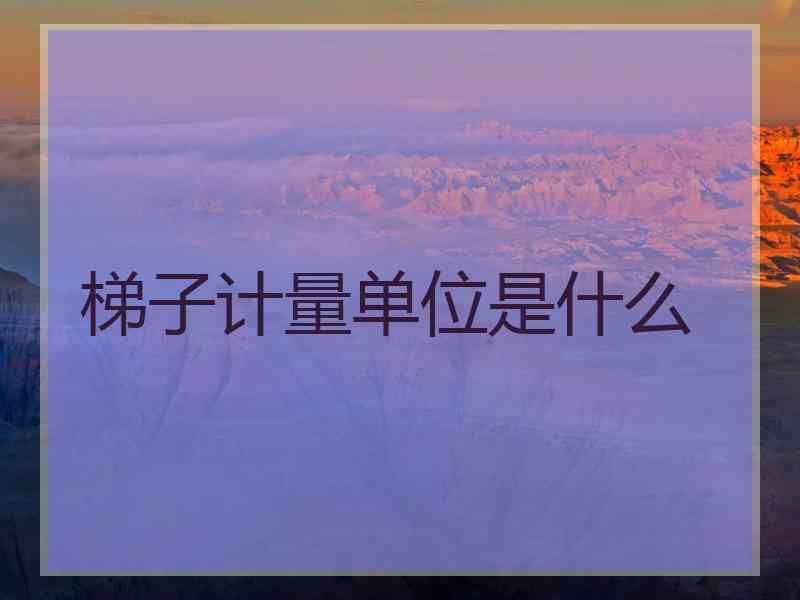 梯子计量单位是什么