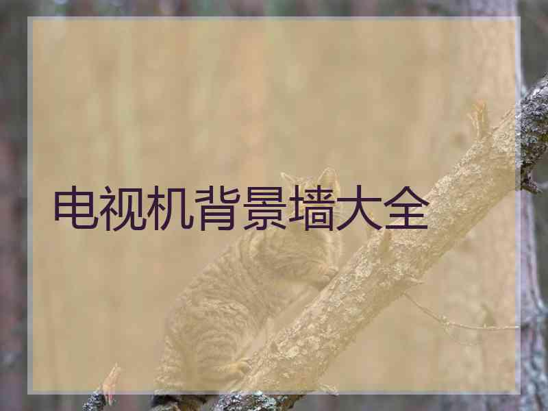 电视机背景墙大全