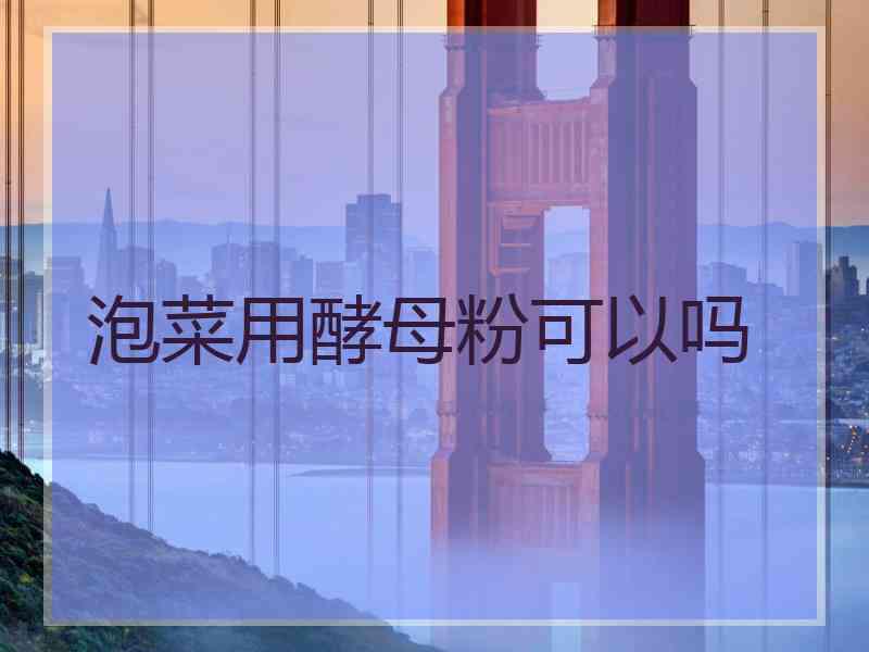 泡菜用酵母粉可以吗