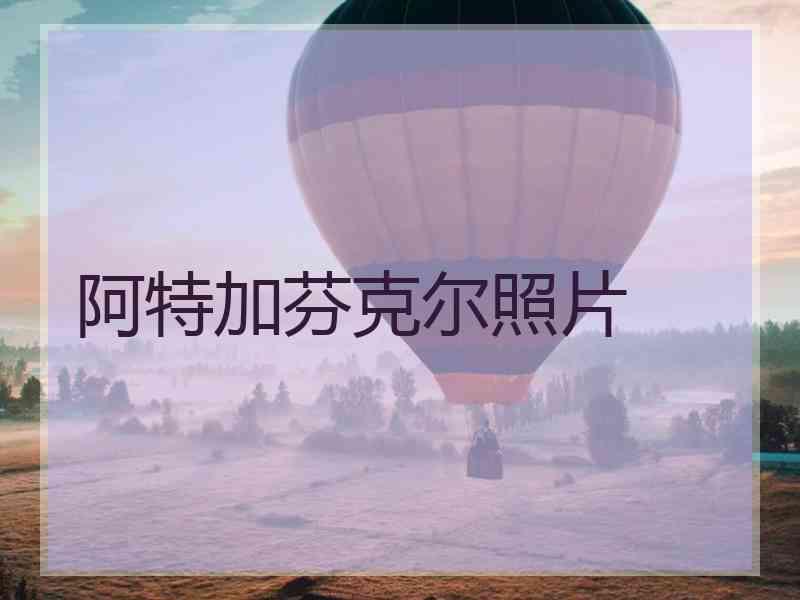 阿特加芬克尔照片