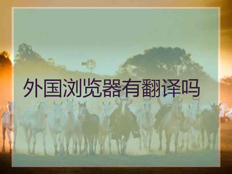 外国浏览器有翻译吗