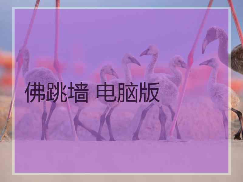 佛跳墙 电脑版