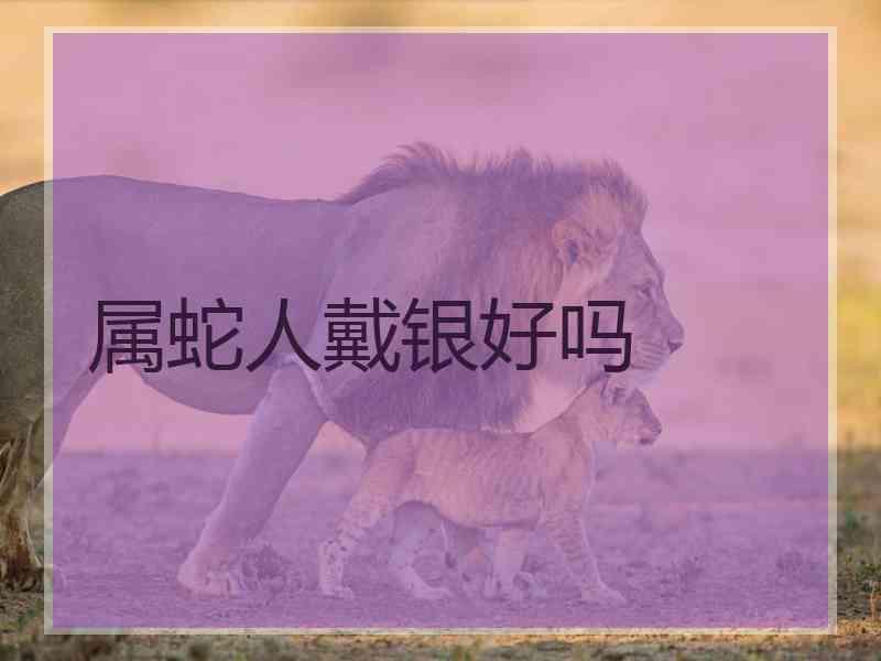 属蛇人戴银好吗