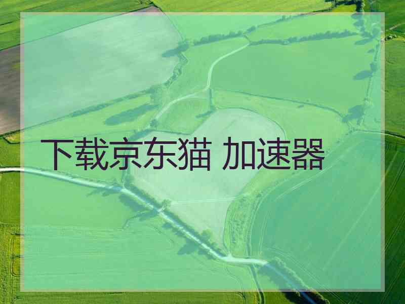 下载京东猫 加速器