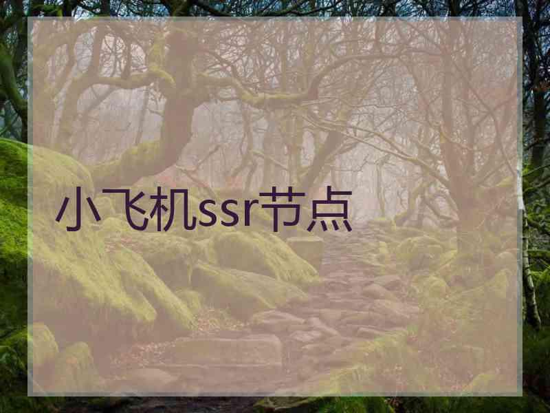 小飞机ssr节点