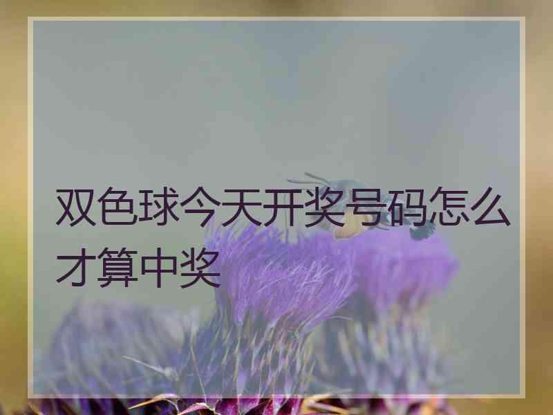 双色球今天开奖号码怎么才算中奖