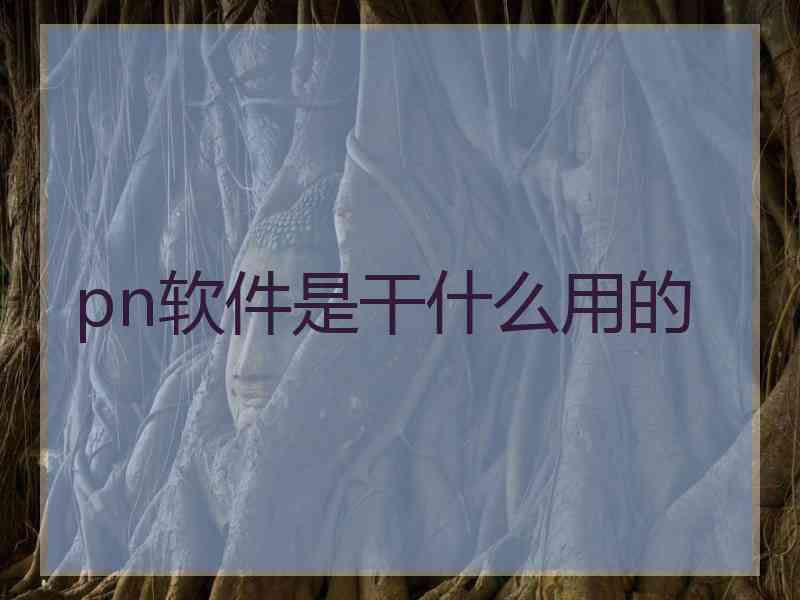 pn软件是干什么用的