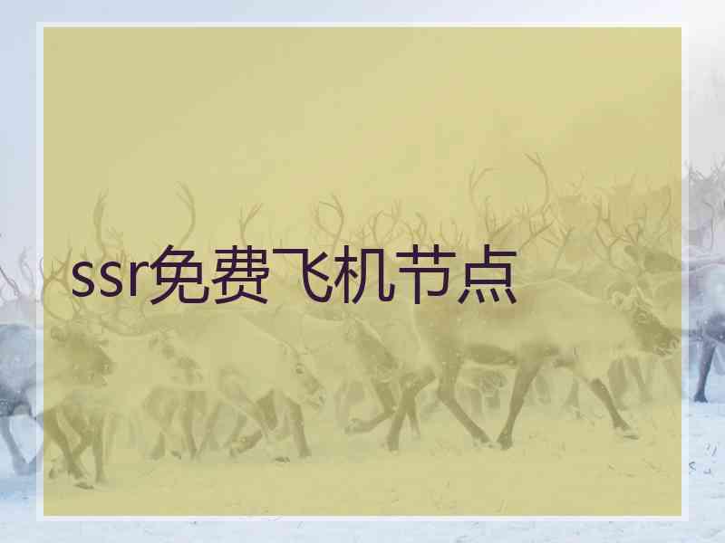 ssr免费飞机节点
