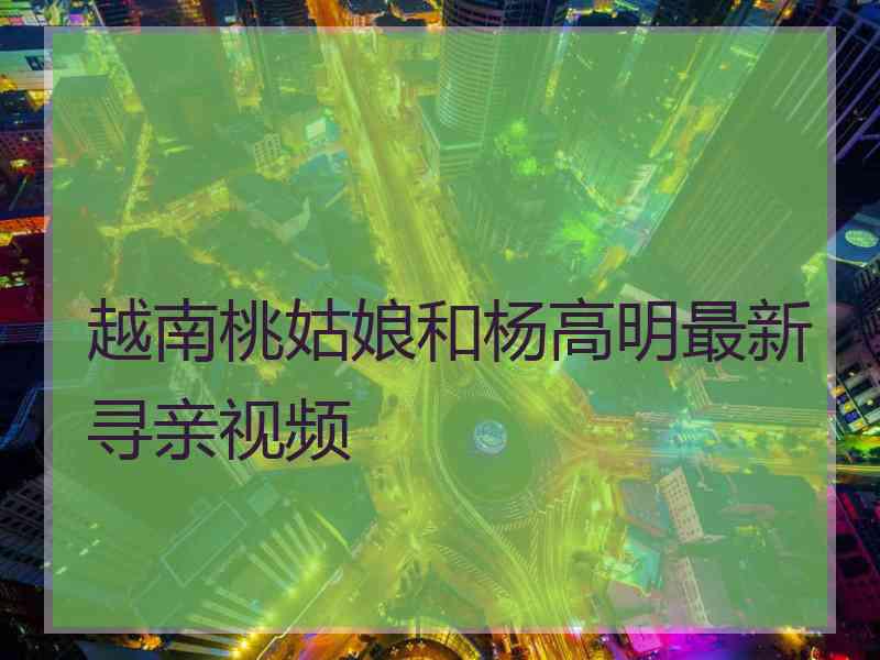 越南桃姑娘和杨高明最新寻亲视频