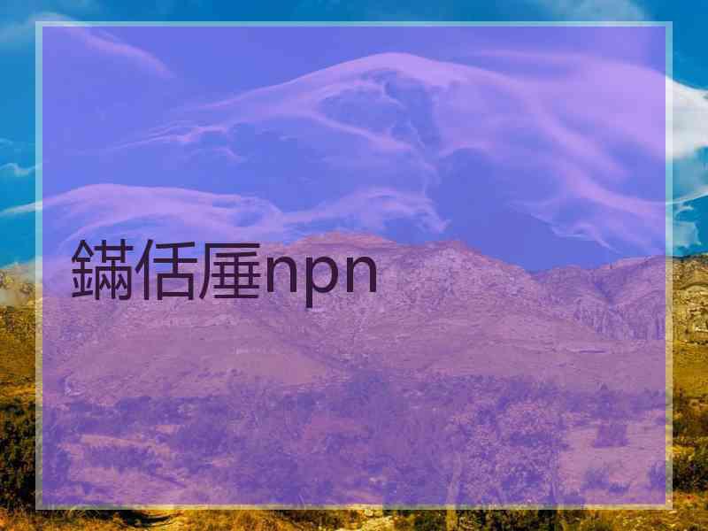 鏋佸厜npn
