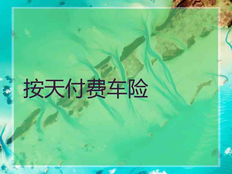 按天付费车险