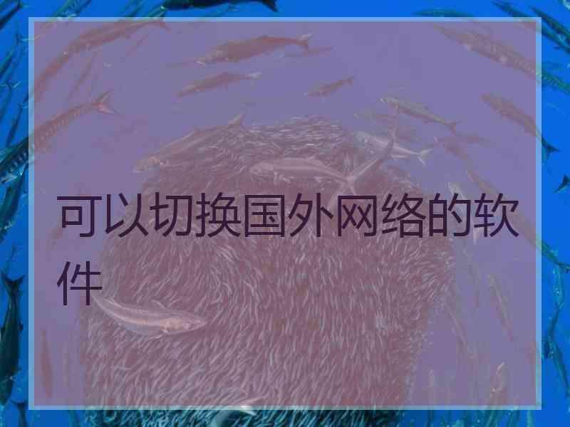 可以切换国外网络的软件