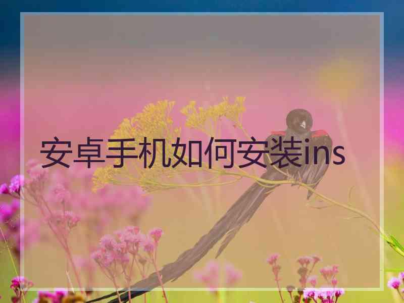 安卓手机如何安装ins