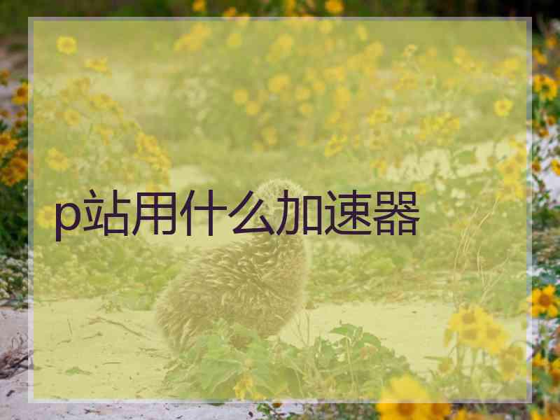 p站用什么加速器