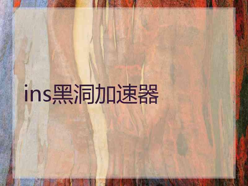 ins黑洞加速器