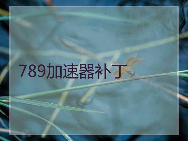 789加速器补丁