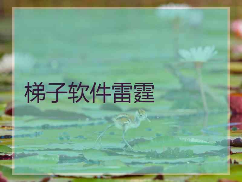梯子软件雷霆