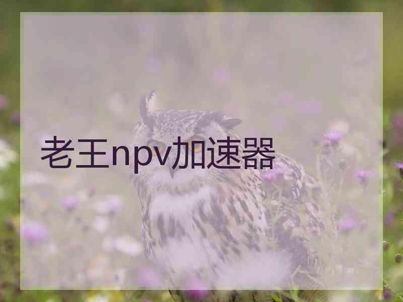 老王npv加速器