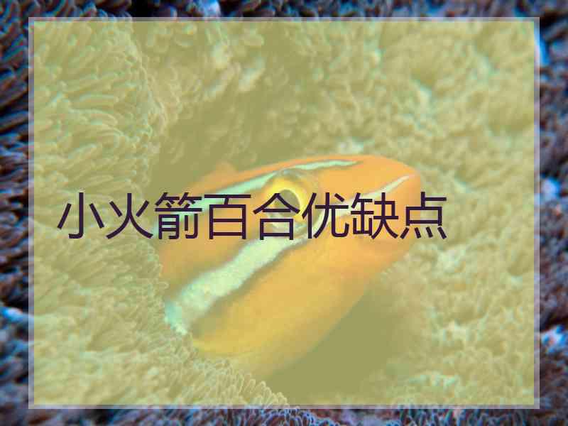 小火箭百合优缺点