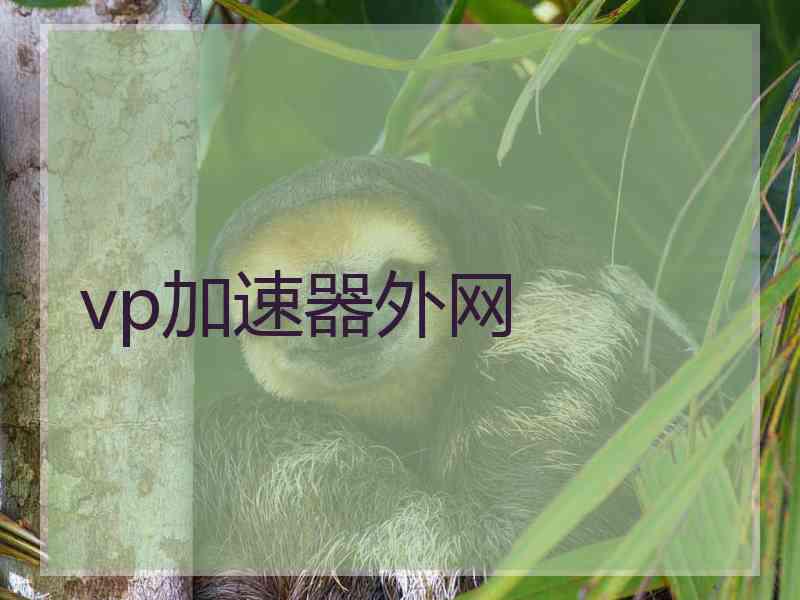 vp加速器外网