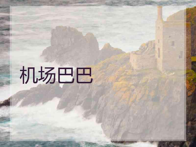 机场巴巴