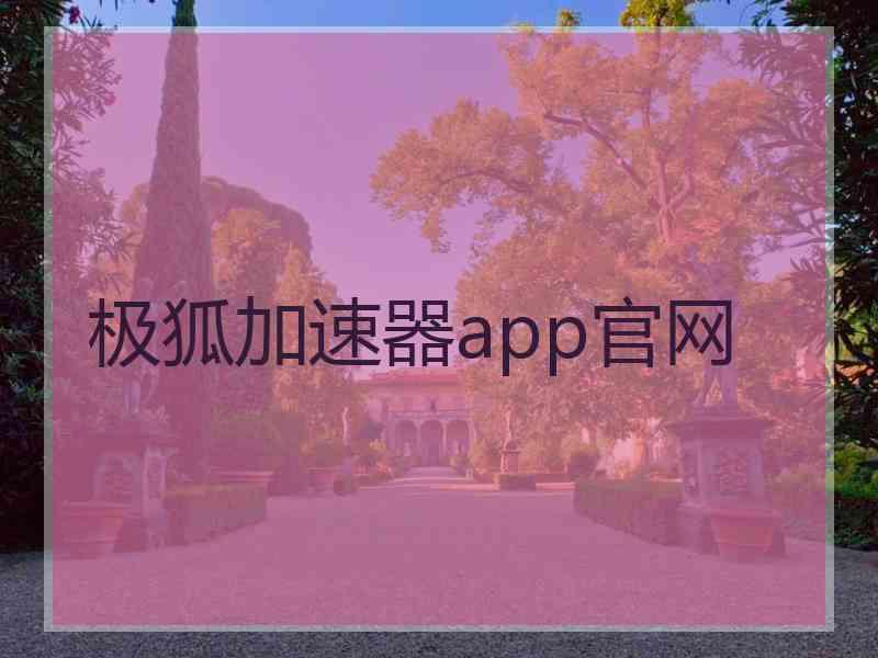 极狐加速器app官网