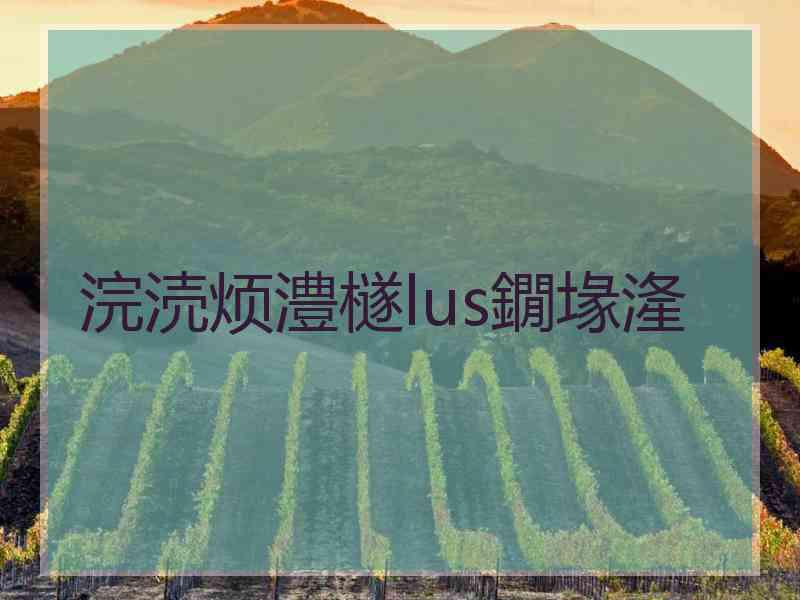 浣涜烦澧檖lus鐗堟湰