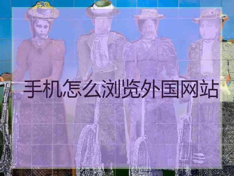 手机怎么浏览外国网站