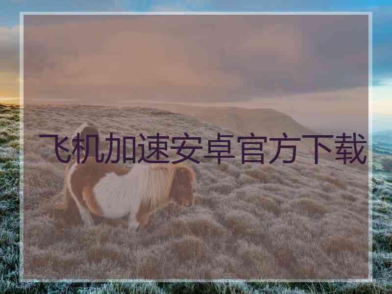 飞机加速安卓官方下载