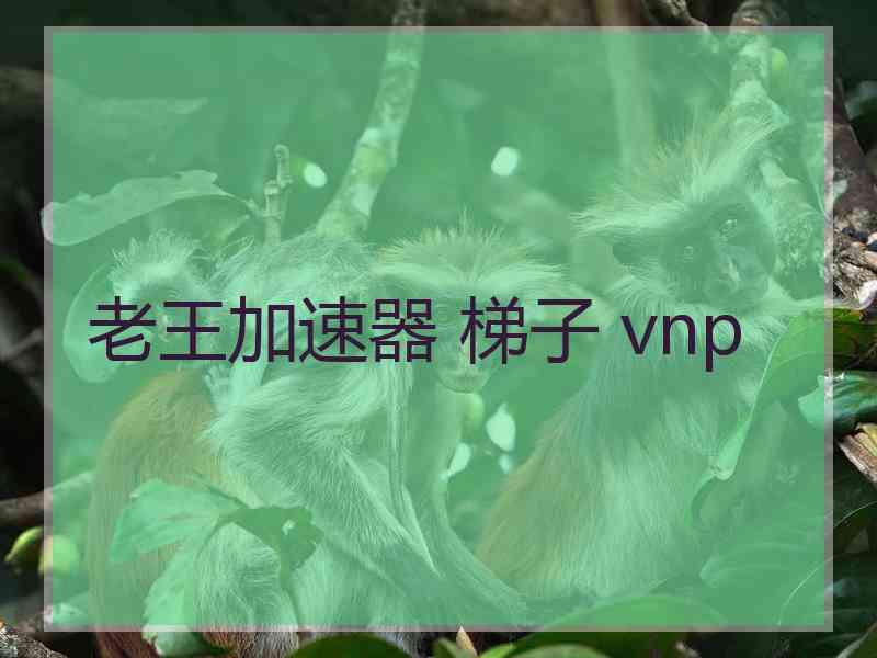 老王加速器 梯子 vnp