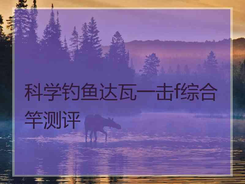 科学钓鱼达瓦一击f综合竿测评