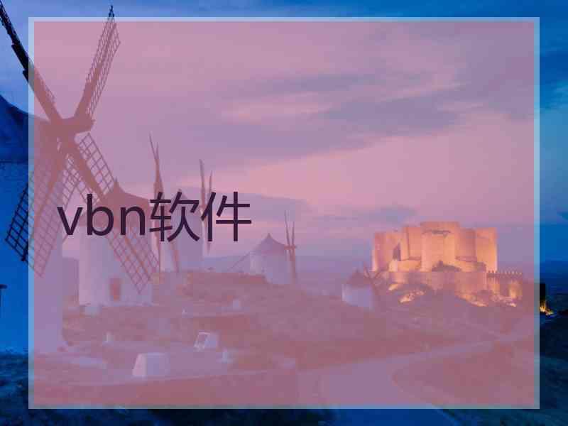 vbn软件
