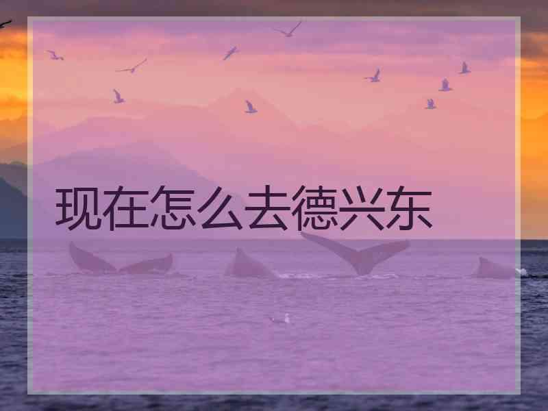 现在怎么去德兴东
