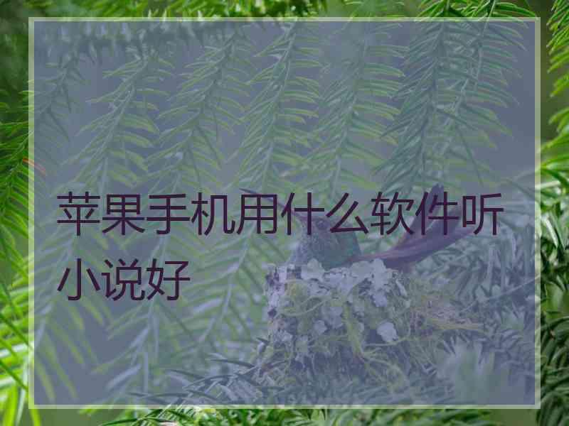 苹果手机用什么软件听小说好