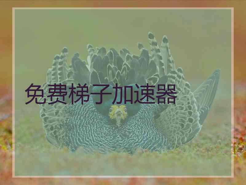 免费梯子加速器