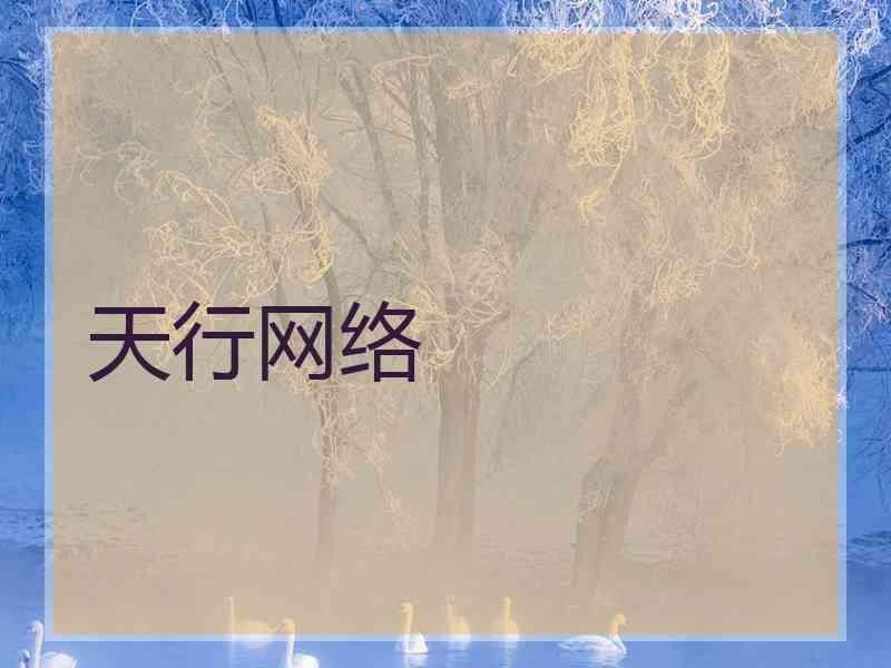 天行网络